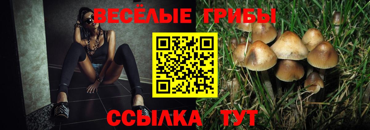 Псилоцибиновые грибы Magic Shrooms Батайск